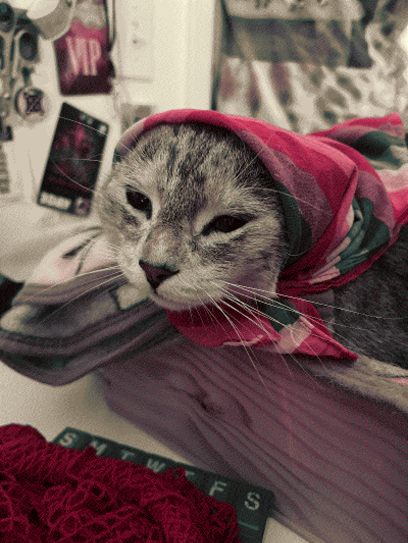 babushka